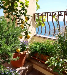 c125ef02-8f27-4c4e-9eaf-4c8a96617641