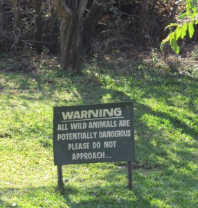 f486cb6f-a881-48a9-8ed1-ac2470822be5